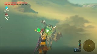 How to go into bullet time ANYWHERE in botw [upl. by Julis]