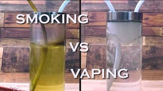 Smoking vs Vaping [upl. by Auka]