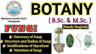 General Characteristics of FungiMyceliumHyphae Modification of MyceliumBSc 1st year BotanyFungi [upl. by Hadeehuat]