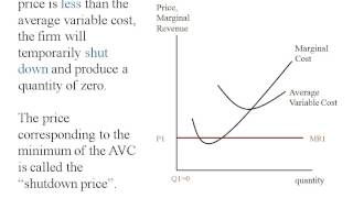 Econ  Perfect Competition  Short Run Supply Curve [upl. by High314]