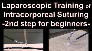 Laparoscopic intracorporeal suturing 2nd step for beginners [upl. by Delilah]