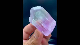 Natural Bicolor Kunzite Crystal from Afghanistan [upl. by Milone]