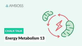 Energy Metabolism  Part 13 Fatty Acid Synthesis with molecular structures [upl. by Tiedeman467]