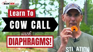 How to Cow Call with Diaphragm Elk Calls [upl. by Anchie841]