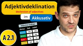 Adjektivdeklination Im Akkusativ  German Adjective Endings in Accusative [upl. by Tabina]