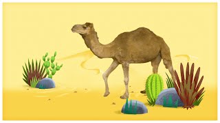 Animal Songs quotWalk Like a Camelquot by StoryBots  Netflix Jr [upl. by Noryahs]