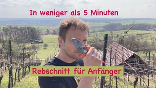 Rebschnitt für Anfänger [upl. by Ttihw]