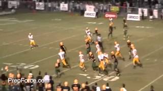 2013 RB Derrick Henry ultimate 2012 season highlights [upl. by Aihtnic]