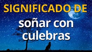 Qué significa soñar con culebras 💤 Interpretación de los Sueños [upl. by Urina]