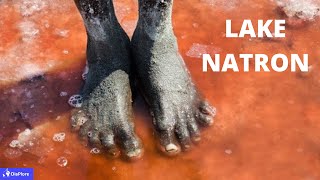 Discover Lake Natron The Lake that Turns Animals to Stones [upl. by Lundberg]