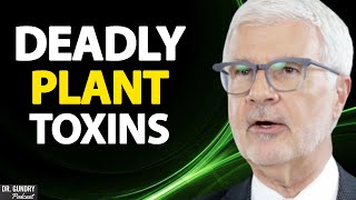 Lectins Plant Toxins Explained  Dr Gundry Clips [upl. by Shorter]