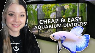 DIY Aquarium Divider [upl. by Eon20]