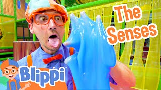 Blippi Learns the 5 Senses at a Play Place  Blippi Full Episodes  Educational Videos  Blippi Toys [upl. by Oelgnaed]