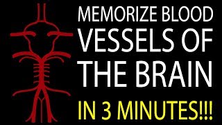 MNEMONIC Brains Blood Supply MEMORIZE in 3 Minutes [upl. by Tarfe]