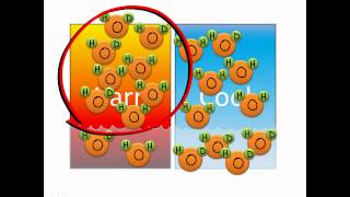 Isotope fractionation [upl. by Fisk]