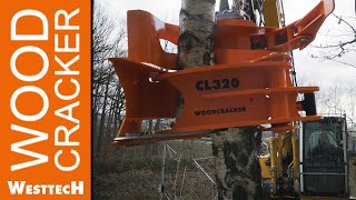 der neue Woodcracker® CL320 aus dem Hause WESTTECH [upl. by Sibyl]