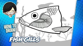 How to draw Fish Gills step by step [upl. by Nirrad]