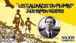 44  Julio Ramon Ribeyro  quotLos Gallinazos sin plumasquot [upl. by Nazus]