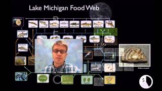 LS2A  Interdependent Relationships in Ecosystems [upl. by Mok390]