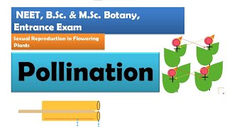 Pollination in Flowering plants  NEET BSc amp MSc Botany [upl. by Vasili654]