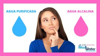 AGUA PURIFICADA VS AGUA ALCALINA BITALLWATER  ¿CUAL DEBO CONSUMIR🤔 [upl. by Sandler752]