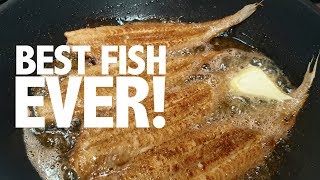 How to cook and prepare the perfect Dover sole  Classic a la meunière recipe [upl. by Euqinitram760]