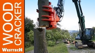 Woodcracker C450 und CS780 im Einsatz bei Baumpflege Gebele [upl. by Butta]