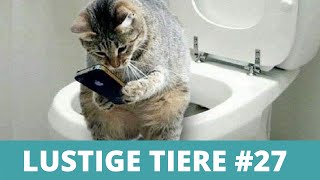 LUSTIGE TIERE  Witzige Tiervideos Lustige Tiere Compilation 27 [upl. by Aileme]