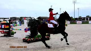 Horse show jumping falls compilation [upl. by Emelen937]