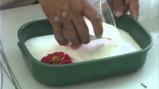 How to Use Silica Gel to Dry Flowers [upl. by Gaston]