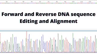 Forward and Reverse DNA Sequence Editing and Alignment [upl. by Nigen]