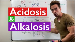 Acidosis and Alkalosis MADE EASY [upl. by Feeley]