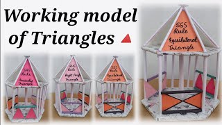 Maths project for class 9  Congruence of TrianglesSSS SAS ASA AAS  congruent triangles rules [upl. by Jorin584]