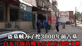 盗墓贼为了挖一座3000年前古墓，白天开饭店，晚上在饭店内挖文物【墓史迷踪】 [upl. by Talie770]