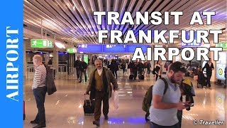 TRANSIT WALK AT FRANKFURT Airport FRA Terminal 1  Connection Flight Transfer Arriving amp Departing [upl. by Maggie53]