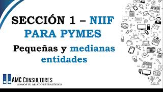 NIIF PARA PYMES SECCIÓN 1 [upl. by Atileda71]