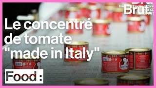 La réalité cachée derrière le concentré de tomate quotmade in Italyquot [upl. by Acined763]