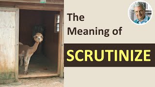 What is the Meaning and Definition of SCRUTINIZE 5 Examples [upl. by Yrehc]