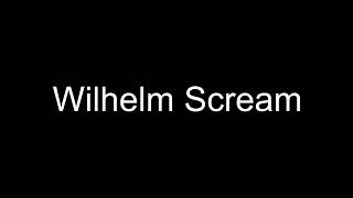 Wilhelm Scream [upl. by Airbmac620]