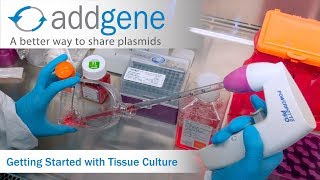 Getting Started with Tissue Culture [upl. by Irah]