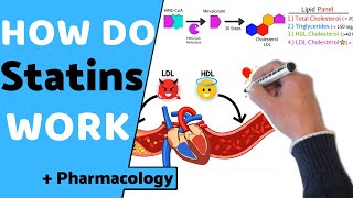 How do Statins Work  Pharmacology [upl. by Neibart]