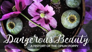 Dangerous Beauty A History Of the Opium Poppy [upl. by Milissent40]