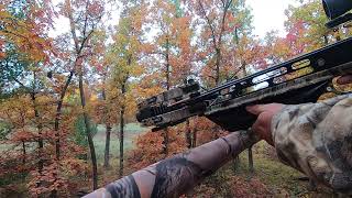 Wisconsin BowCrossbow hunting 2023 [upl. by Yarvis]