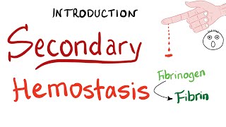 Secondary Hemostasis  How Your Blood Clots Coagulation  Hematology [upl. by Shiff]