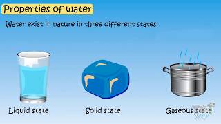 Properties of Water For Kids  Science  Tutway [upl. by Ytsirk]