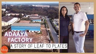 Journey of a Leaf to Plates An amazing story of Palm Leaf Plate Manufacturer Adaaya [upl. by Ibby]