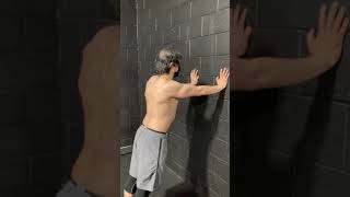 Wall Serratus Anterior Pushup [upl. by Mencher]