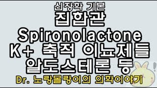 집합관collecting duct 알도스테론aldosterone Spironolactone vasopressinADH 등 [upl. by Nordna547]