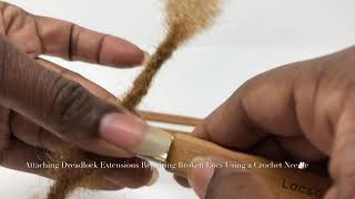 Attaching Dreadlock Extensions and Reattaching Locs Using a Crochet Needle [upl. by Mehetabel]