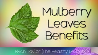 Mulberry Leaves Benefits Tea [upl. by Dayir]